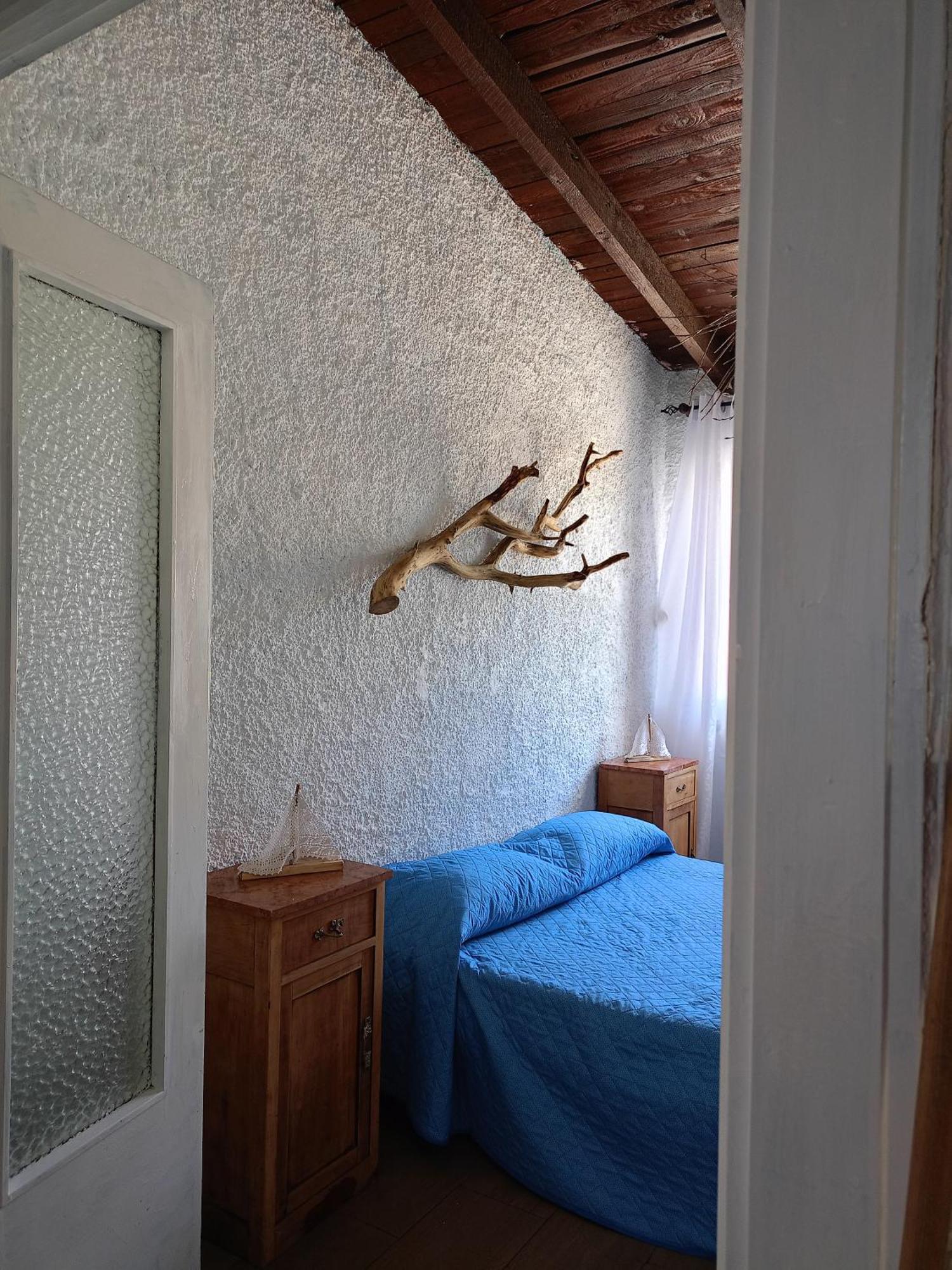 Blu Angel Apartman Lido dei Pini Kültér fotó